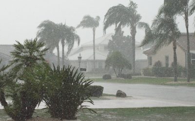 Prepare Your Commercial Business for Hurricane Season