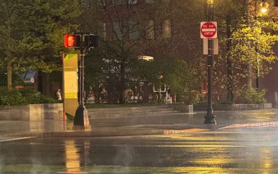 Survive the Storm: Expert-Approved Hurricane Safety Measures