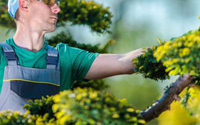 The Secret to Stress-Free Spring Maintenance? Start Early